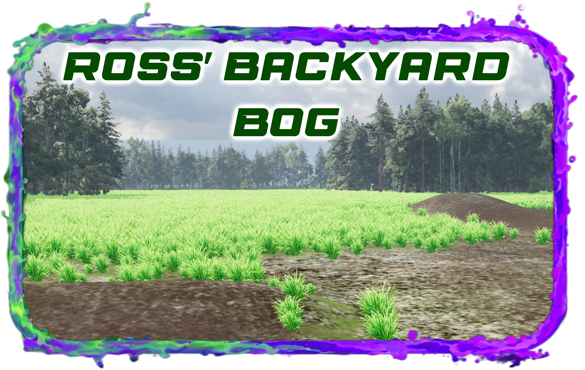 Travis Ross Backyard Bog