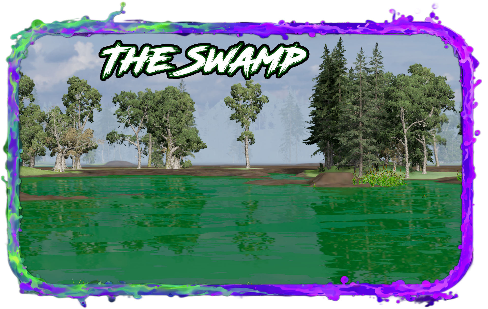 Swamp